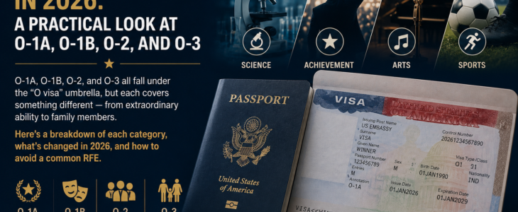 O visa categories breakdown